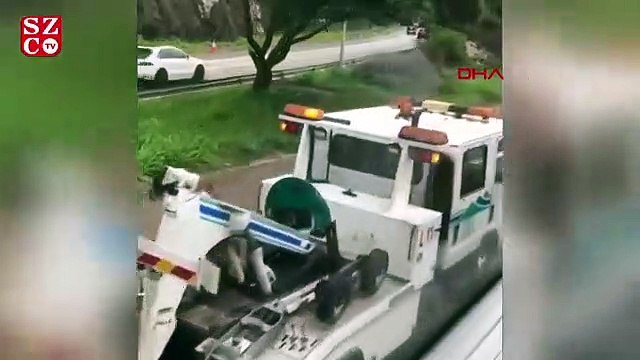 Hong Kong'da iki yolcu otobüsünün çarpışması sonucu 77 kişi yaralandı