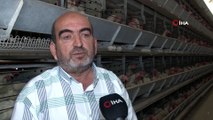 Yumurta üreticileri çözüm bekliyor