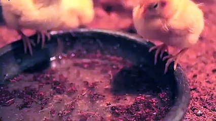 남양주출장타이OiOS7685S6221｛카톡MGM1472｝ぱ남양주출장안@마ぱ남양주출장샵ぱ남양주출장맛사지 ぱ남양주출장걸썰 남양주출장걸가격 남양주출장러시아 남양주외국인후불출장업소 남양주24시출장마사지샵'예약∠⊥≤