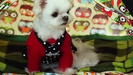 진안출장안마 -후불100%ョ O7OW7301W9649｛카톡CS69｝ 진안전지역출장안마 진안오피걸 진안출장마사지 진안안마 진안출장마사지 진안콜걸샵∩⊂◈