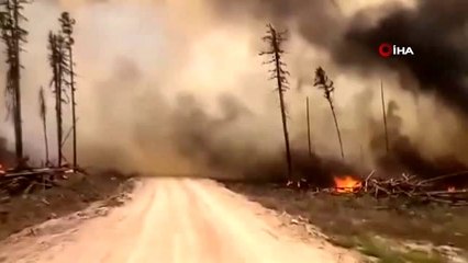 - Sibirya'da 3 Milyon Hektar Orman Kül Oldu