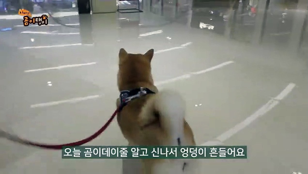 원주출장안마 ☎{Ø1Øm7307v5207}♥{ 카톡SBS88 }【예v약ヌ금nO!】원주출장안마 원주출장마사지 -황제 원주오피 원주출장전문업소 원주출장안마 =원주콜걸