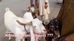 SUBHO KA RATE - Rajanpuri Goat - Makhi Cheena Goat - Bakra Mandi (2018) June - Ramzan Special
