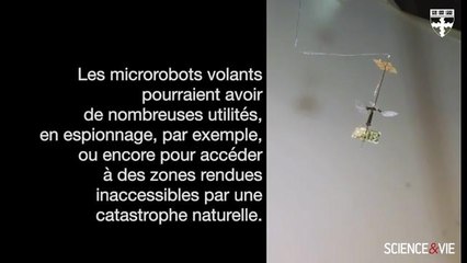 Un robot insecte inaugure le vol autonome