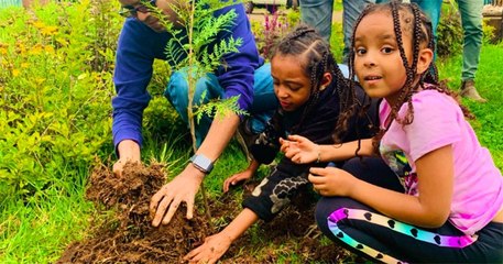 L'Éthiopie a battu le record de reforestation avec plus de 350 millions d'arbres plantés en seulement 12 heures
