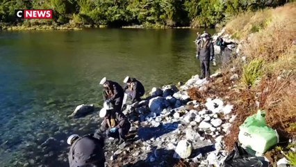 Marée noire dans les eaux pures du Chili
