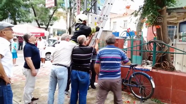 Ağaçta mahsur kalan kediyi itfaiye kurtardı - SAMSUN