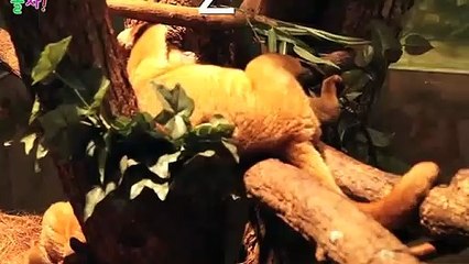 칠곡출장안마 -후불100%ョØ7ØE5180E1619｛카톡NX34｝ 칠곡전지역출장안마 칠곡오피걸 칠곡출장마사지 칠곡안마 칠곡출장마사지 칠곡콜걸샵ФХЦ