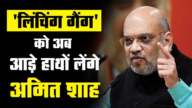 Are Muslims always the victims of mob lynching? Amit Shah led committee to find an answer to this question