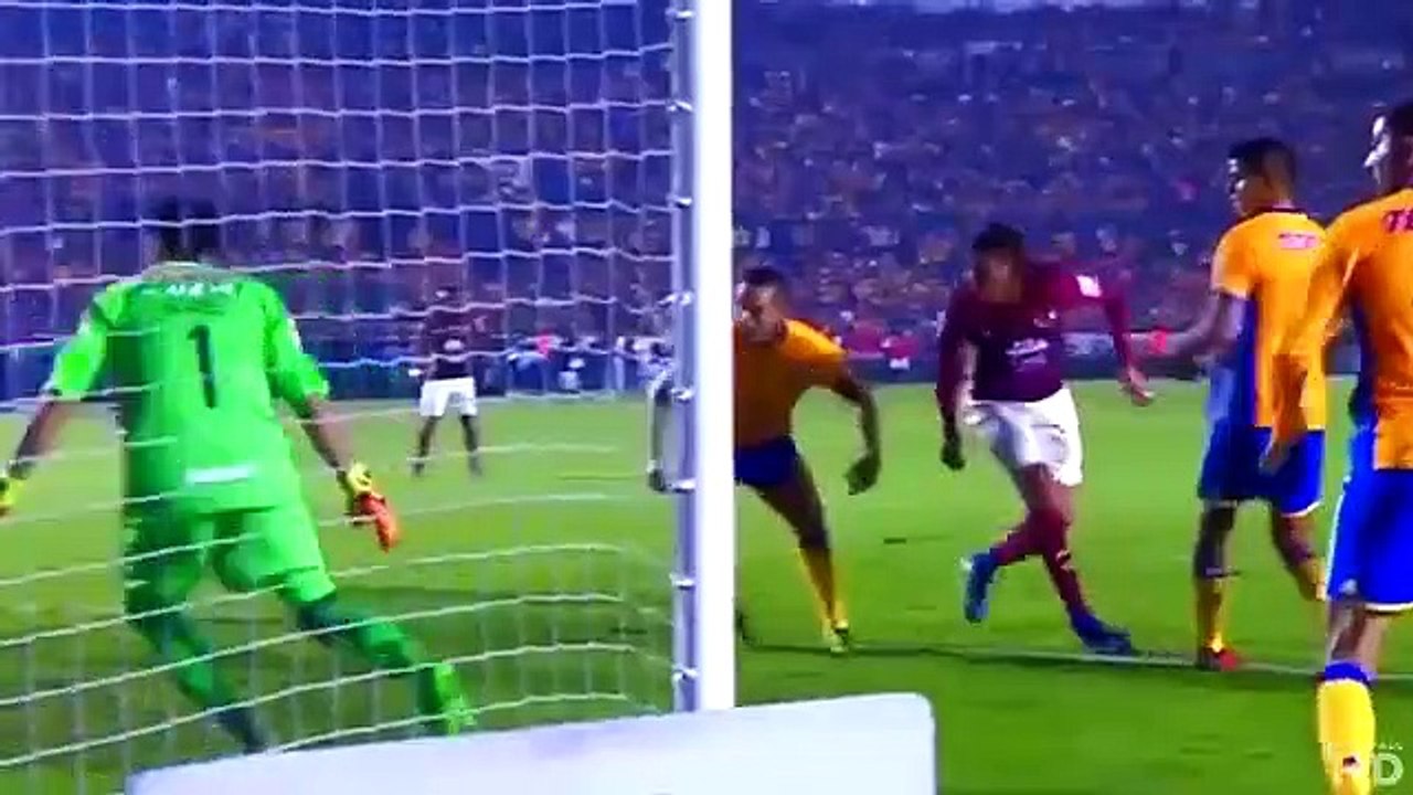 Edson_Alvarez__Welcome_to_Ajax__HD