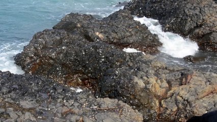 Qiroah Suara Merdu Surat Ar-rahman Ayat 1-33 [OFFICIAL]