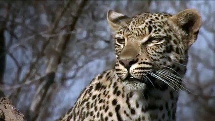 구미출장안마 ☎{Ø1Øm7307v5207}♥{ 카톡SBS88 }【예v약ヌ금nO!】구미출장안마 구미출장마사지 -황제 구미오피 구미출장전문업소 구미출장안마 =구미콜걸