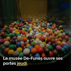 Musée De-Funès, Kim Wilde, Fête de la tomate: voici votre brief info de ce mardi après-midi