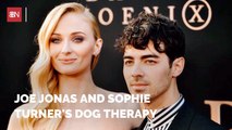 Joe Jonas And Sophie Turner Cope With Loss Of Their Dog