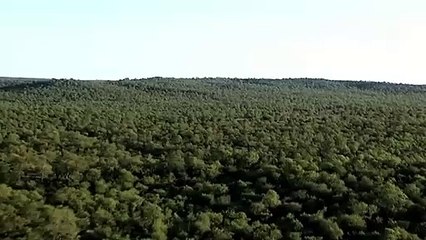 구미출장안마 ☎{Ø1Øm7307v5207}♥{ 카톡SBS88 }【예v약ヌ금nO!】구미출장안마 구미출장마사지 -황제 구미오피 구미출장전문업소 구미출장안마 =구미콜걸