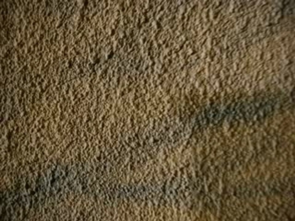 WallMorph01