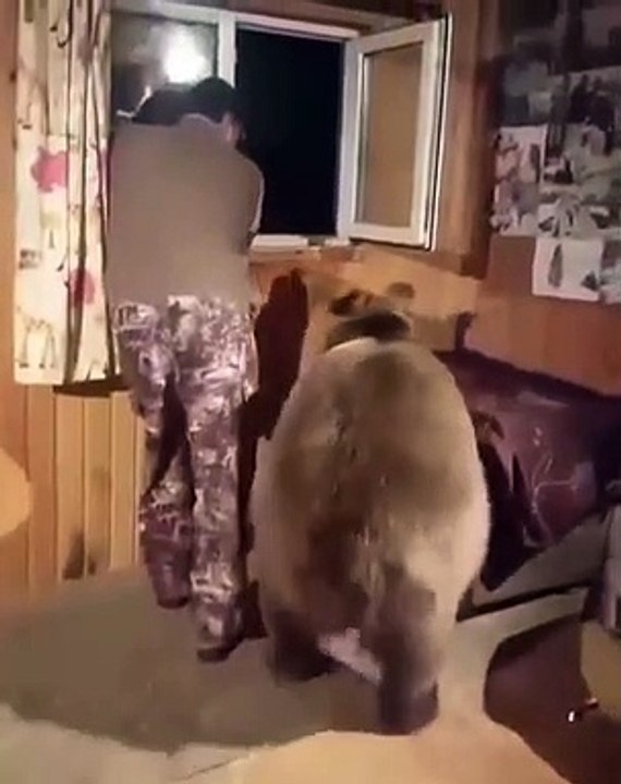 Quand ton meilleur ami est un ours, voici ce que ça donne. Trop beau !