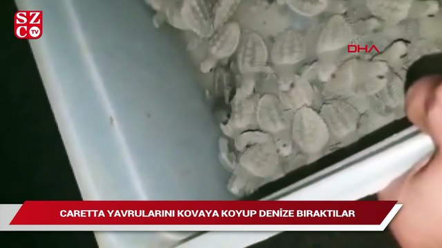 Tepki çeken video: Caretta caretta yavrularını kovaya koyup, denize bıraktılar