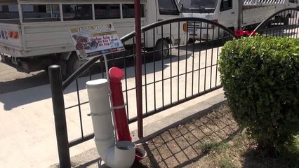 MERSİN SOKAK HAYVANLARI İÇİN SU VE MAMA