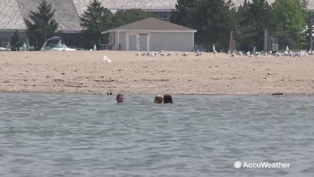 AccuWeather takes a look at the onset and causes of this year's Lake Erie algae bloom