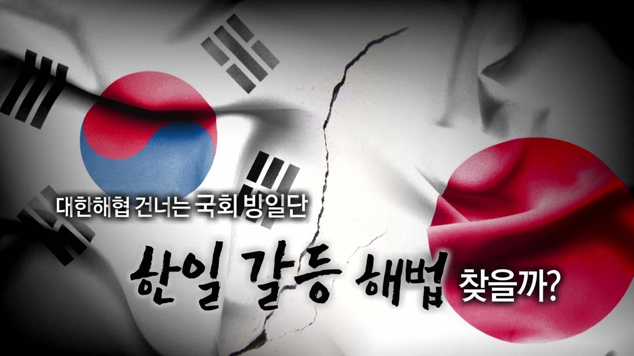 [영상] 국회 방일단, 내일 출국...해법 실마리 찾나? / YTN
