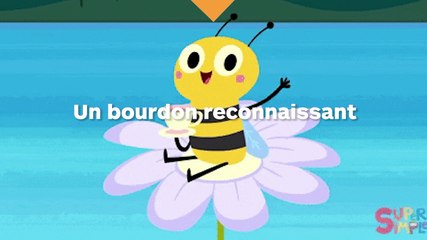 Un bourdon remercie celle qui l'a sauvé de la noyade