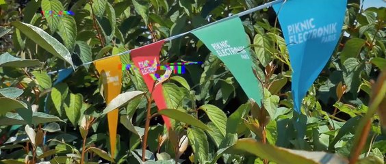 Le festival Piknic Électronik  à Paris