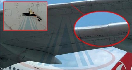 İstanbul Havalimanı'na inen uçak kuş sürüsüne çarptı, seferden çekildi