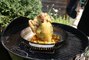 Père Guez s01e05 : Et mon barbecue c'est du poulet (contisé au beurre d'estragon) ?