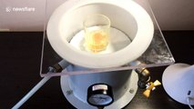 Ukrainian scientist subjects raw egg to a vacuum chamber