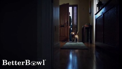 Jed Wyatt's Dog Food Commerical