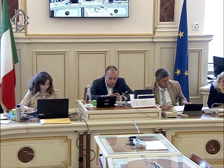 Roma - Audizioni su raccolta rifiuti solidi dispersi in mare (30.07.19)