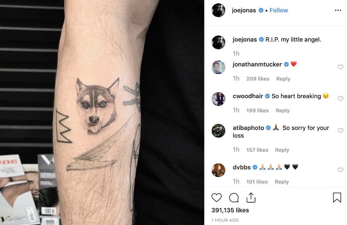 Sophie Turner and Joe Jonas get tattoos in tribute to late dog