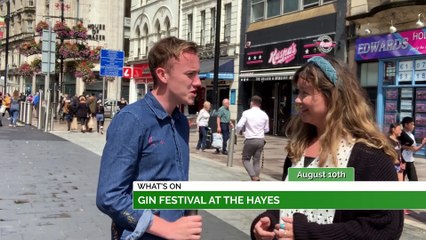 Cardiff Careers Fair, Gin Festival & Cardiff Shooters!