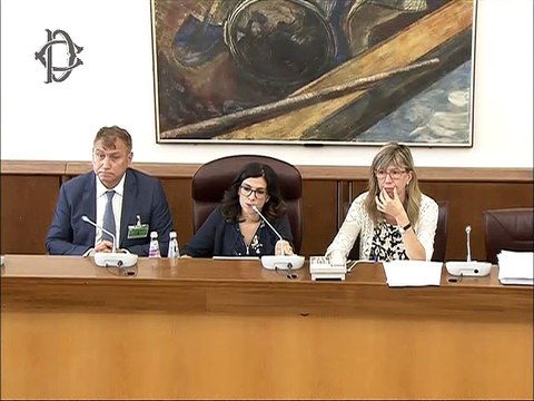 Roma - Audizione su iniziative a tutela della salute mentale (30.07.19)
