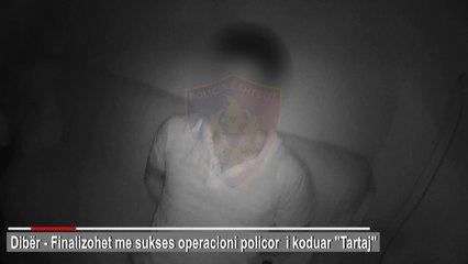 Arrestohen 2 vellezerit e akuzuar per plagosje