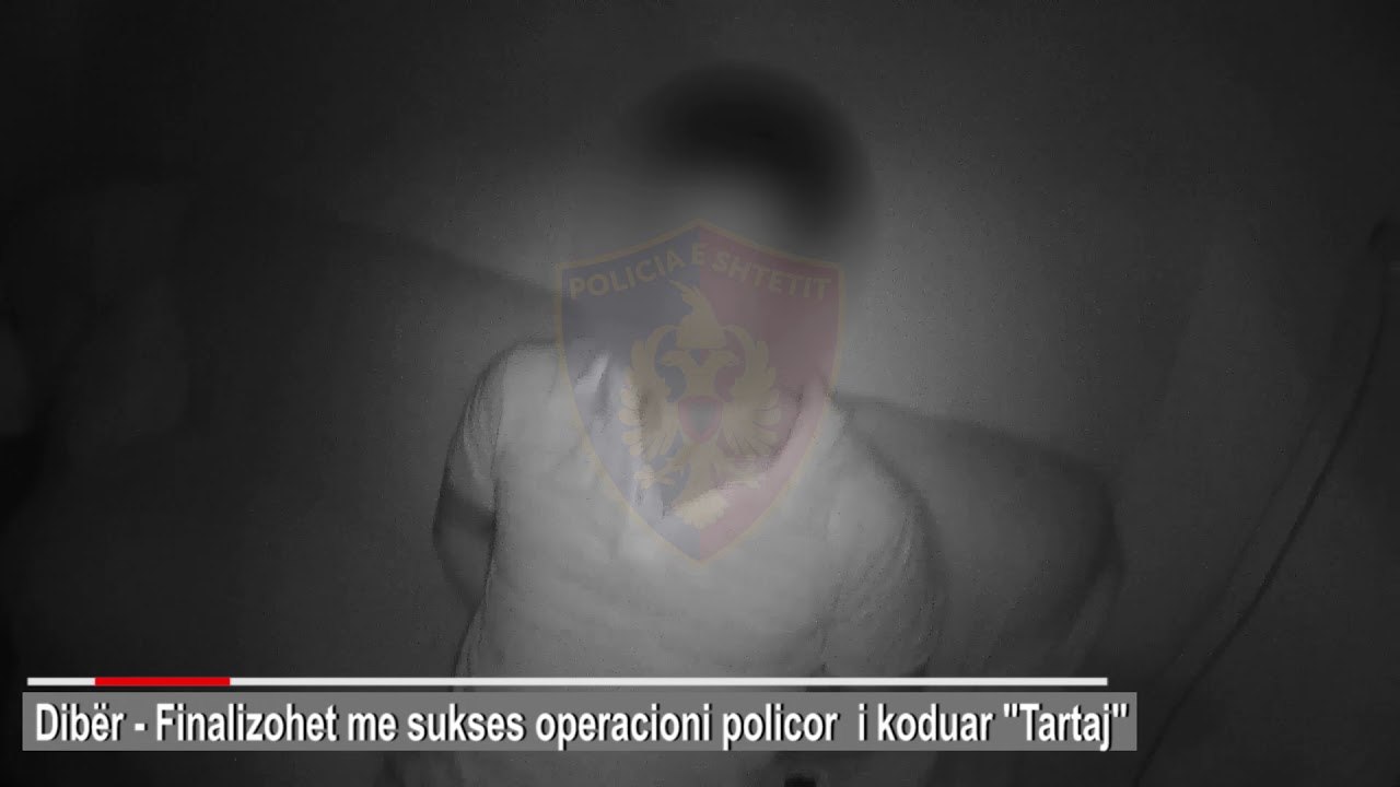 Arrestohen 2 vellezerit e akuzuar per plagosje