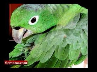 Leticia: el país de las distancias