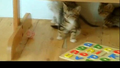 노원출장안마 -후불100%ョO7OS7575S0069｛카톡RD654｝ 노원전지역출장안마 노원오피걸 노원출장마사지 노원안마 노원출장마사지 노원콜걸샵☜●♀