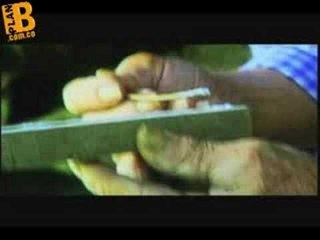 Expedición Sonora planb.com.co