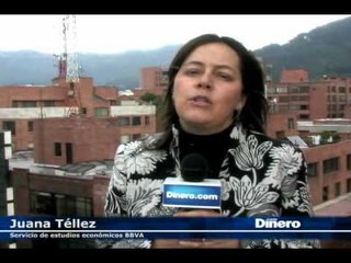 Proyecciones Económica para el 2010