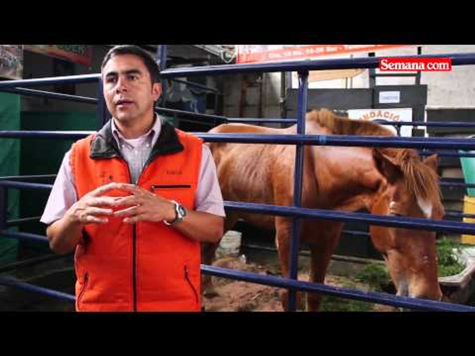 Fundación Refugio Animal
