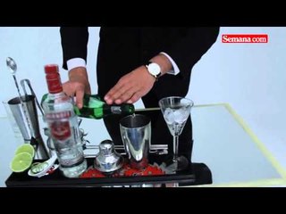 James Bond: Martini, agitado, no revuelto (2)