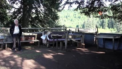 Gezmek için geldiği bin 110 rakımlı yaylada 8 yıldır organik hayvan yetiştiriyor