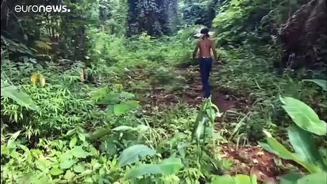 Amazonas Stammeschef getötet - Folge von Bolsonaros Bergbau?