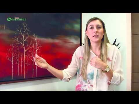 Responsabilidad Social Empresarial: en el corazón de las empresas