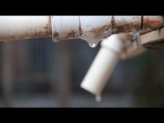 Los yopaleños están desesperados