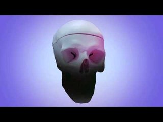 Semana Educación le explica: ¿por qué el mosquito es el animal más mortífero del planeta?