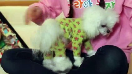 영도구출장안마 -후불100%ョØ7ØA7575A0069｛카톡RD654｝ 영도구전지역출장안마 영도구오피걸 영도구출장마사지 영도구안마 영도구출장마사지 영도구콜걸샵φχψ