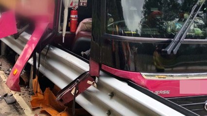 달리던 관광버스, 가드레일과 충돌..."개 피하려다" / YTN